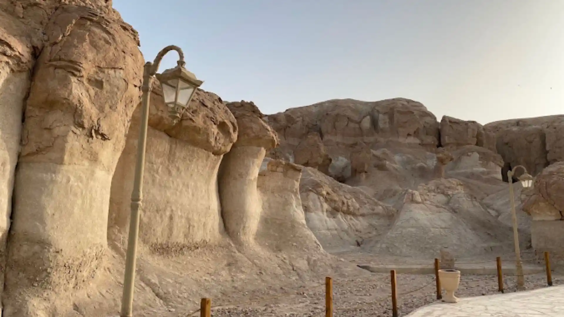 صورة: واحة نخيل الأحساء