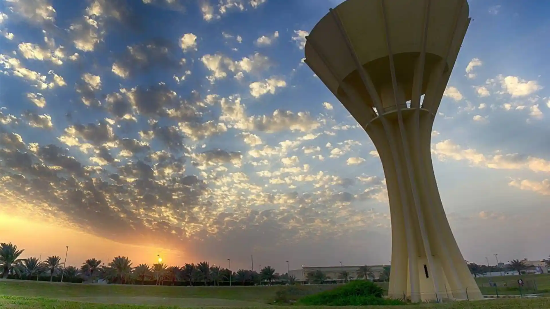 Image: palm groves or Tarout Island in Qatif